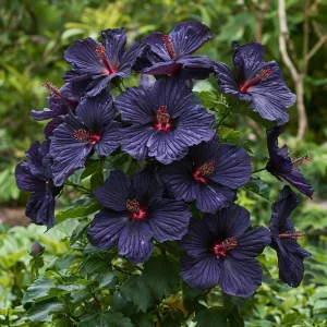 Гибискус Мэджик Момент купить по цене от 699р. в интернет-магазине «Посадика» с доставкой почтой в в Озерске и по всей России – [изображение №1].