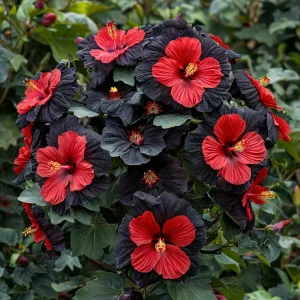 Гибискус Шиммеринг купить по цене от 720р. в интернет-магазине «Посадика» с доставкой почтой в в Озерске и по всей России – [изображение №1].